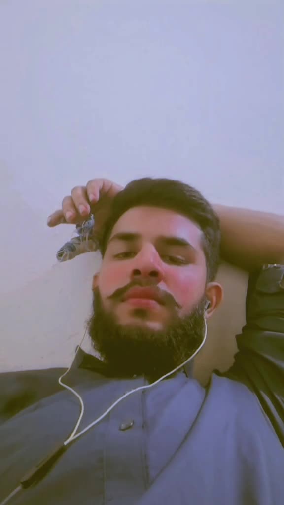 @M Basharat shaikh