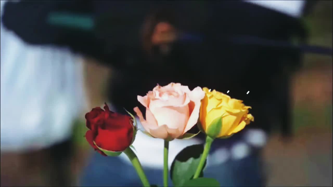 @🌹