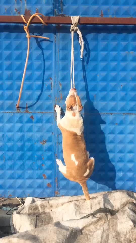 @Kıwanctopcu