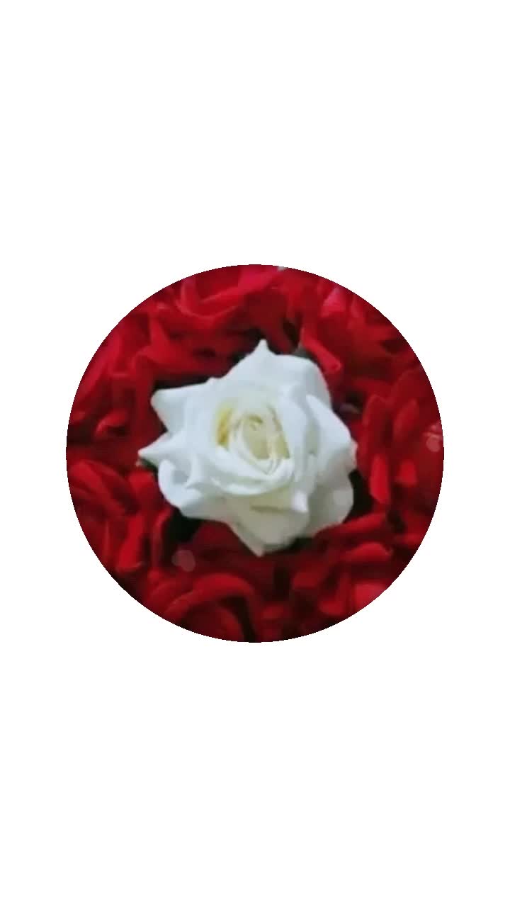 @ಗೌರಿ❤️ಅಮ್ಮು ❤️ಚಿನ್ನು