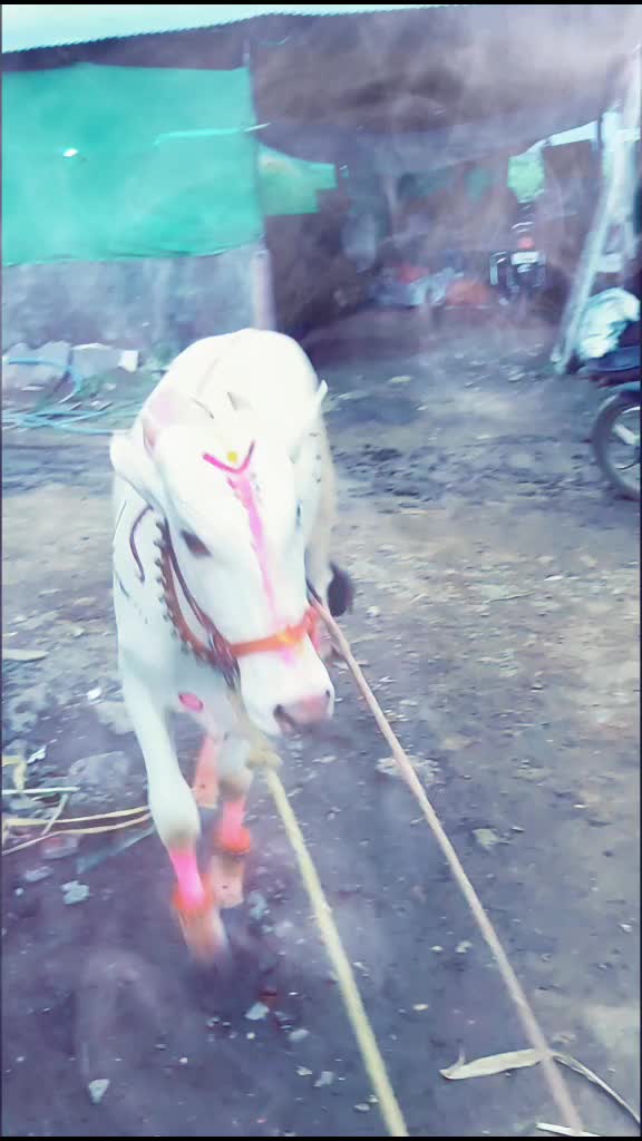 @Somnath Pawar