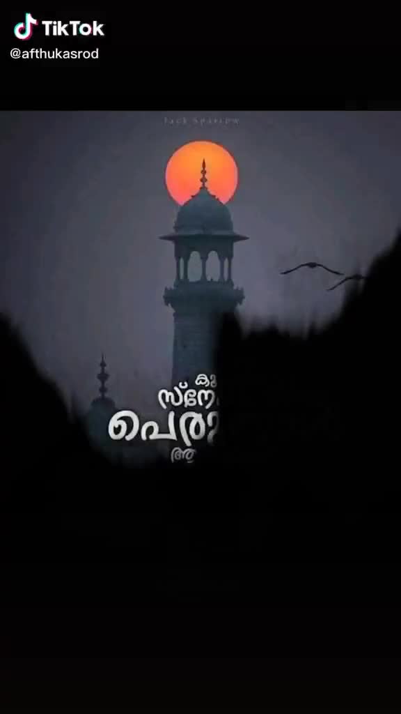 @nidhin