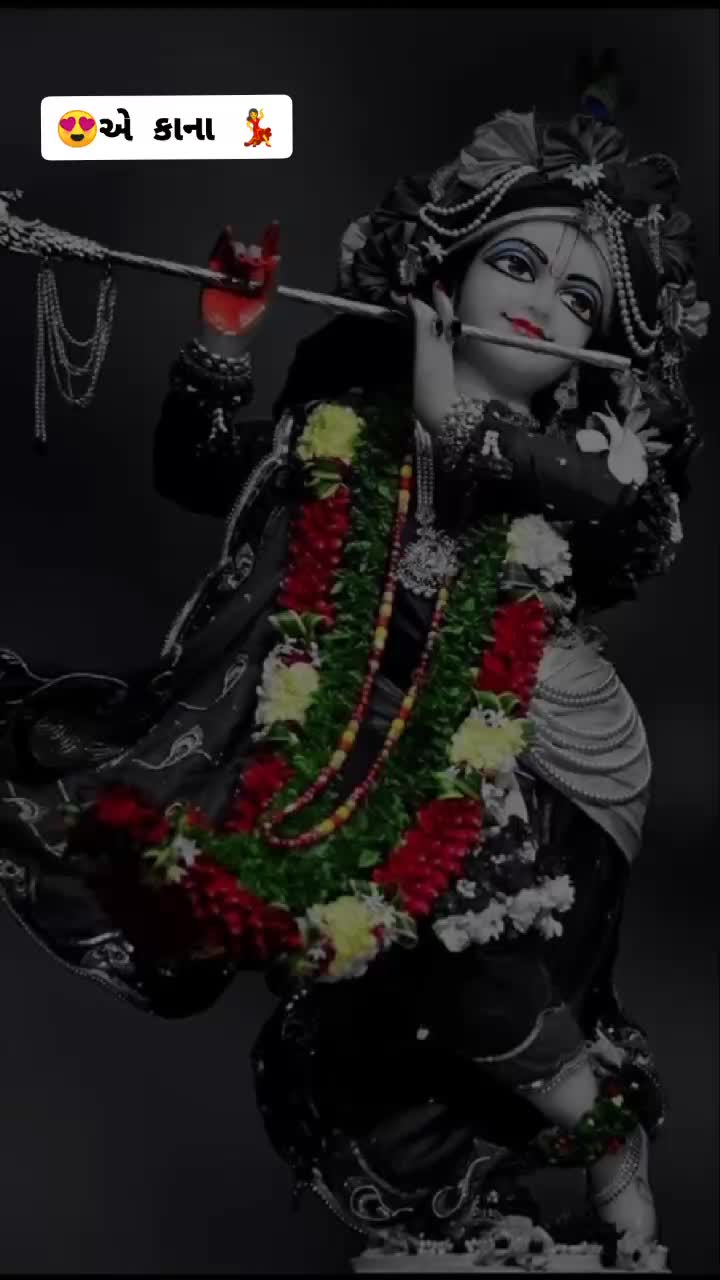 @SR. Shilaj Vada