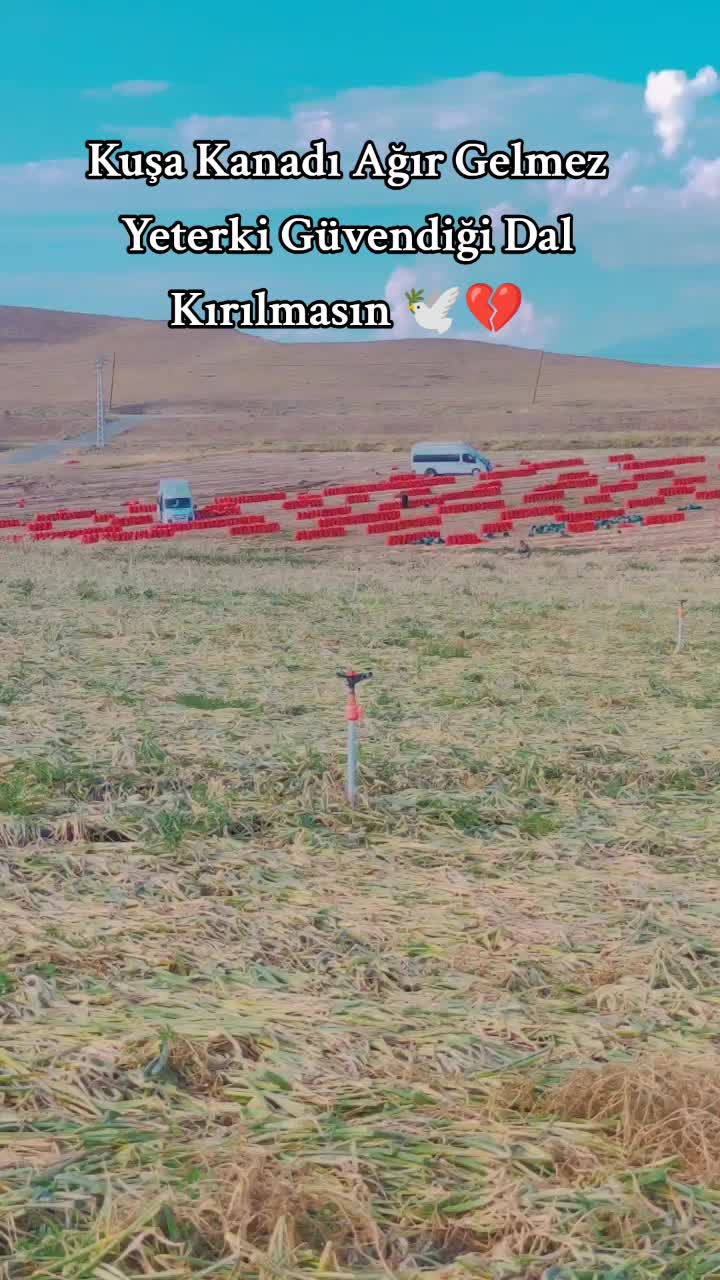 @Güla kerejdağe