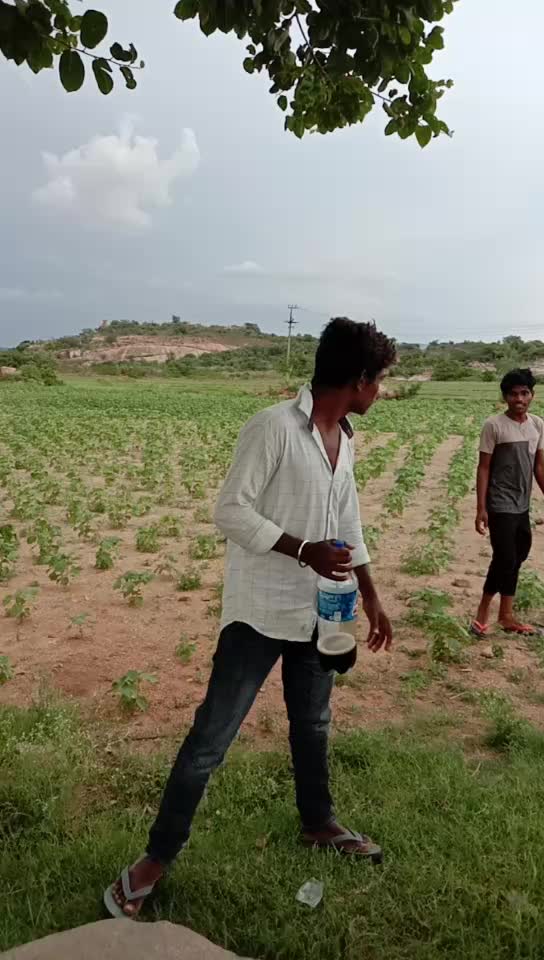@p anil king