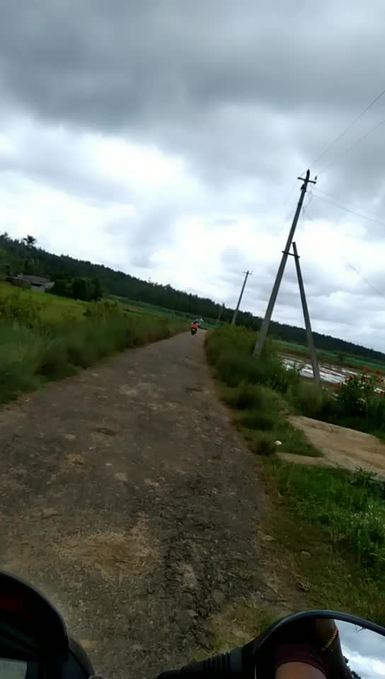 @achoo sreedharan8429