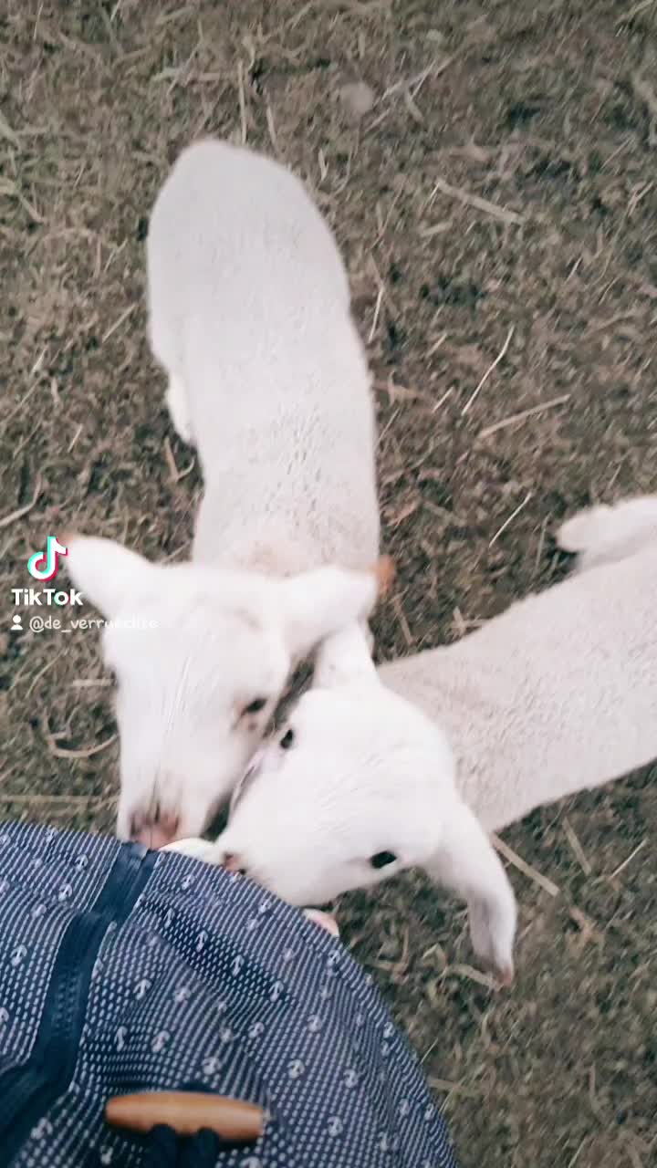 @Jenny Günther