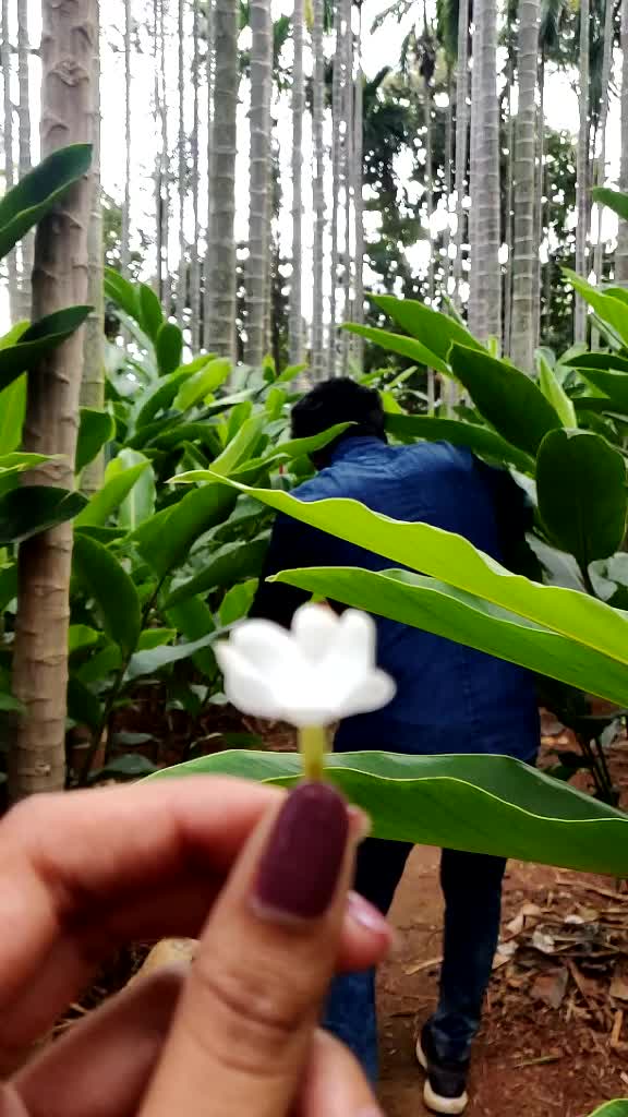 @Surya Prakash Somu