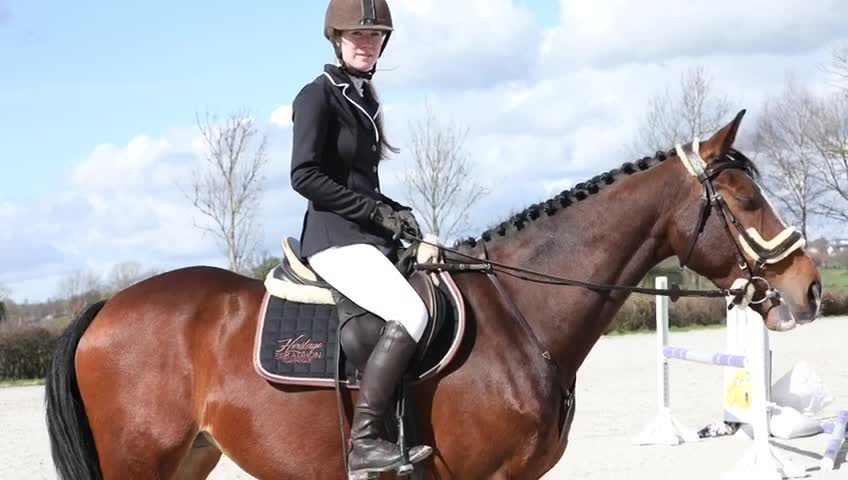 @ne.horses