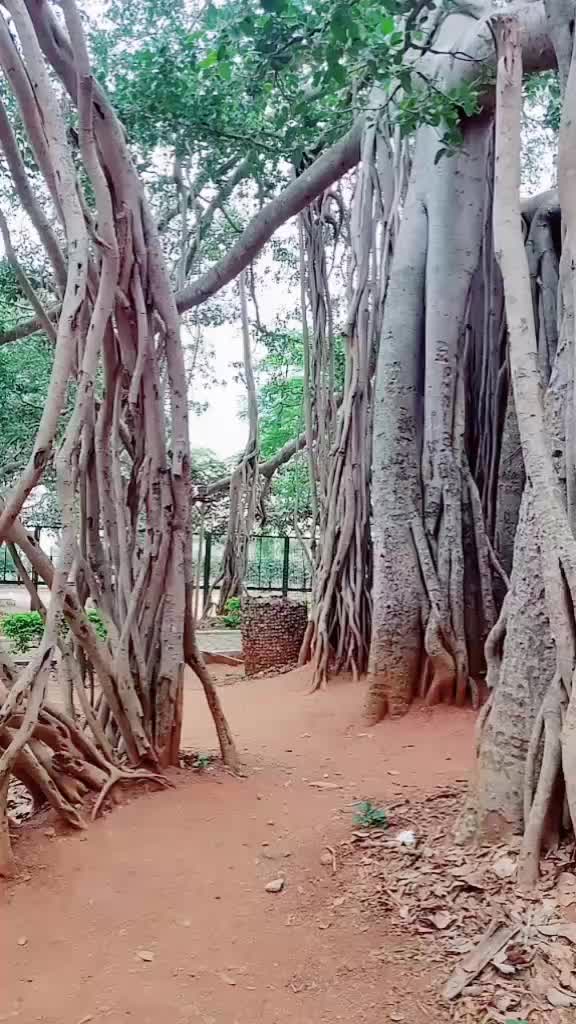 @Sangeetha Sangi
