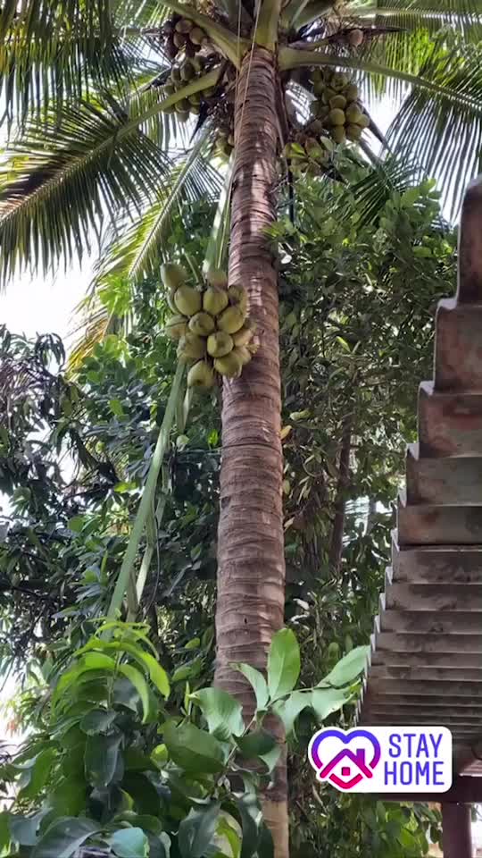 @Akash Mhatre