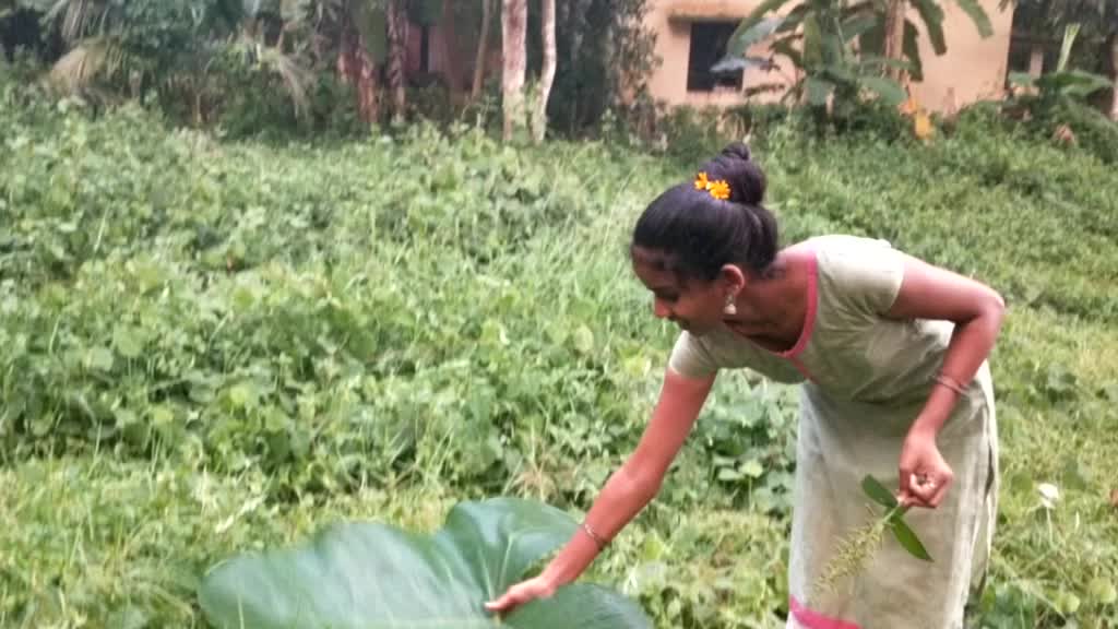 @prajeesha