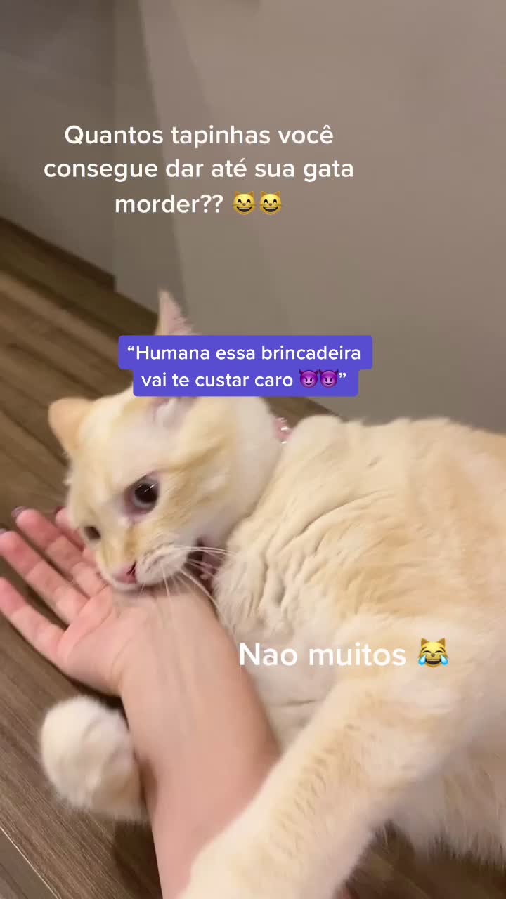 @Juliana Daniel