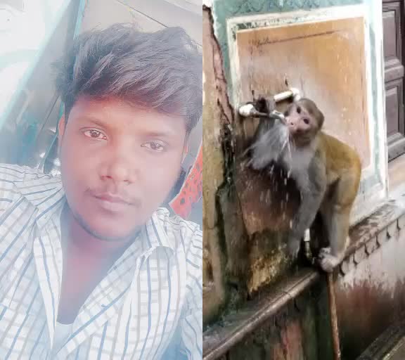 @manibala