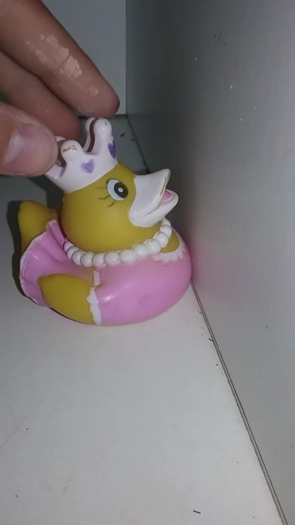 @duck