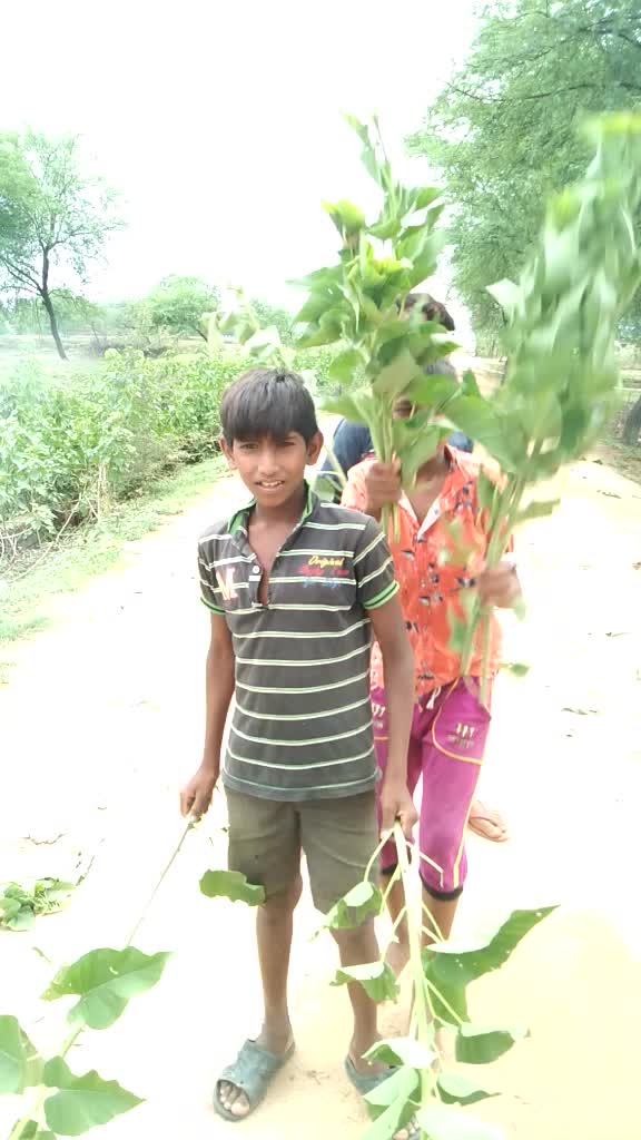 @sunil sahu