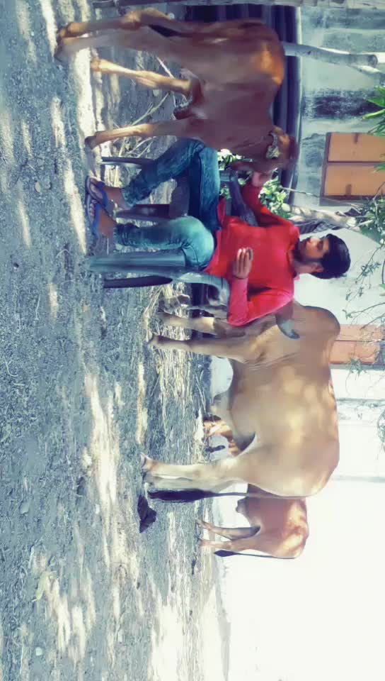 @Ahir dilip