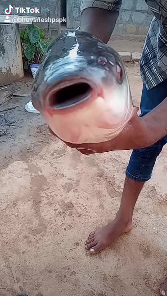 @userbhuvanesh934604