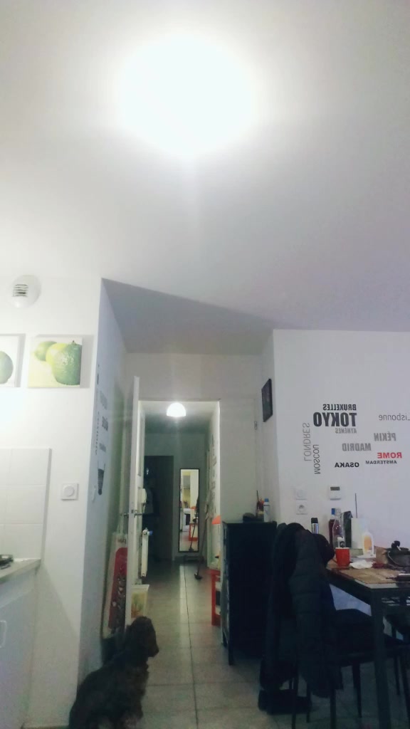 @meilleurdesmondes