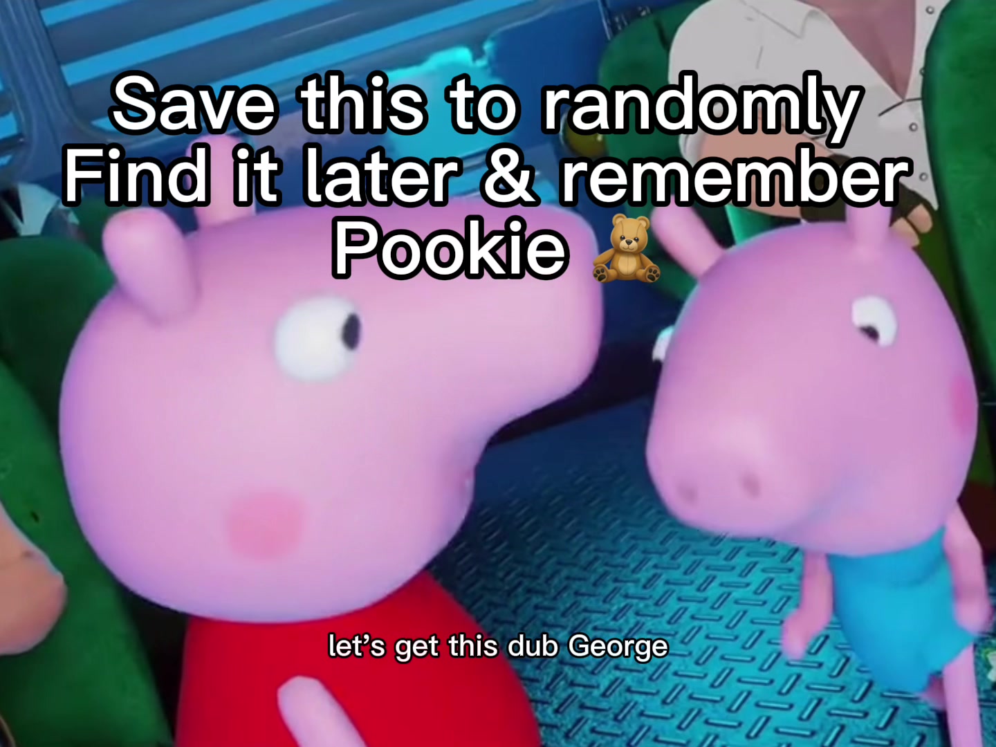 @🧸 Pookie Wookie Woo Bear 🧸