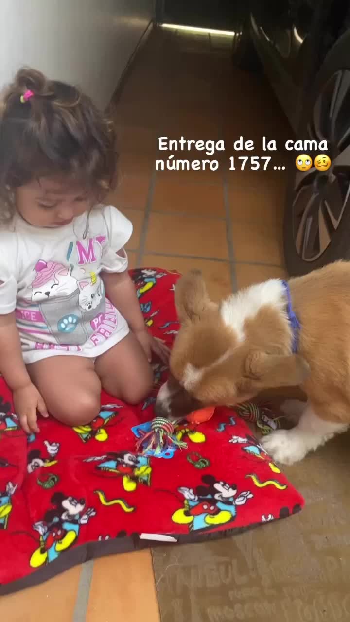 @SAM 🐾🦴