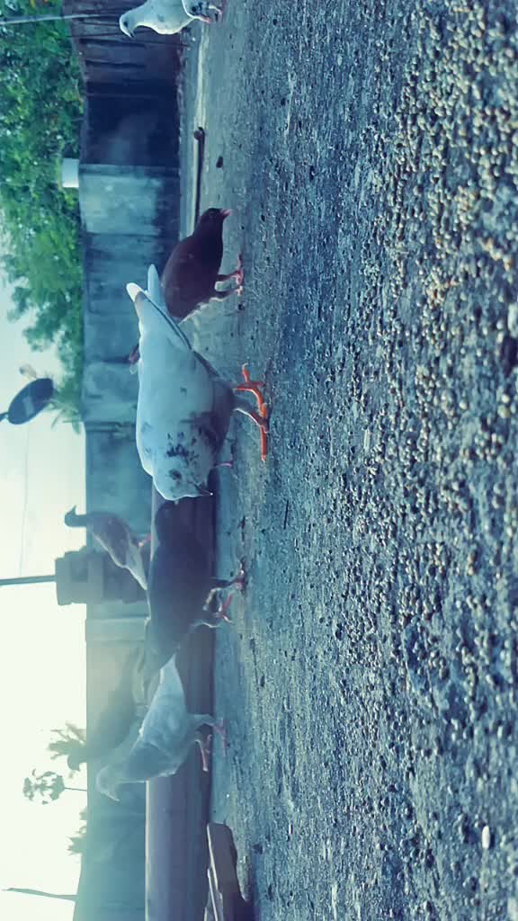 @vasanth raj 1228