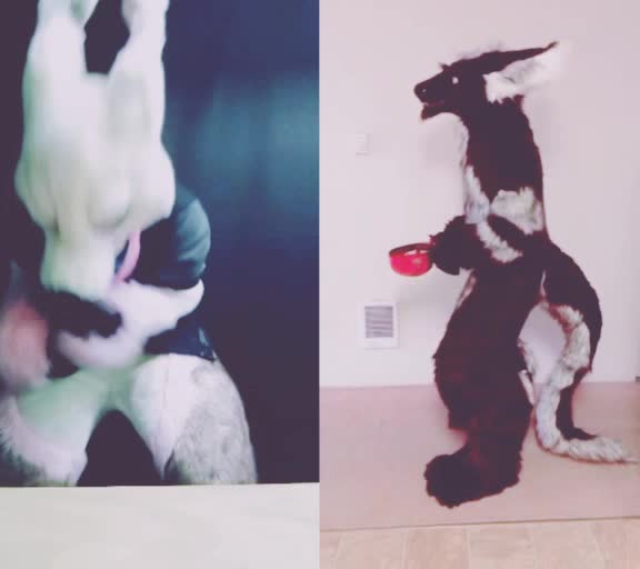 @Y_Screm