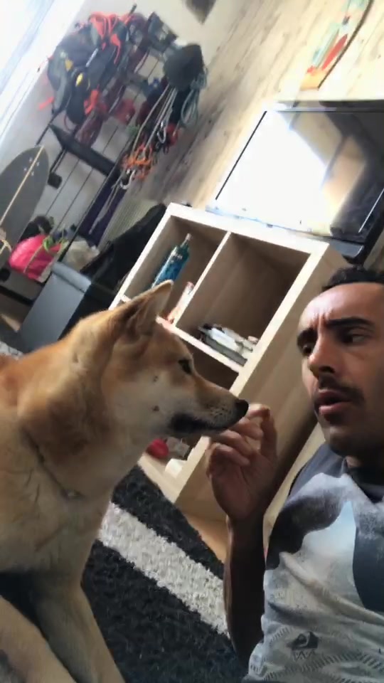 @YoyoDubs