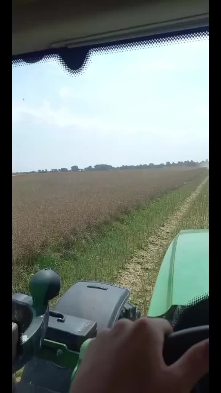 @Nico_SH_