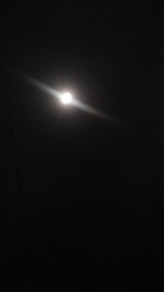 @user3763108749476
