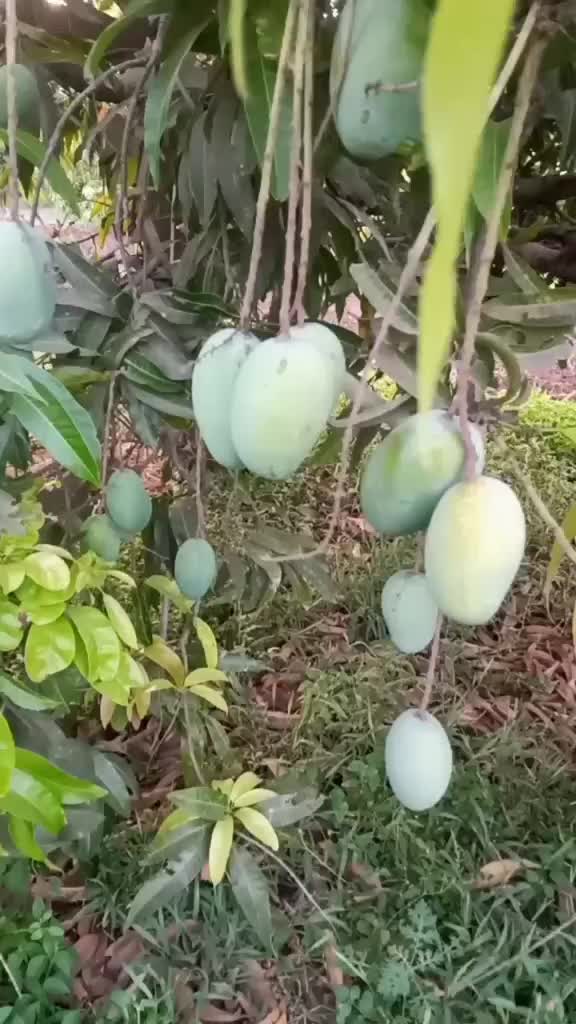 @Bharat Bhaliya