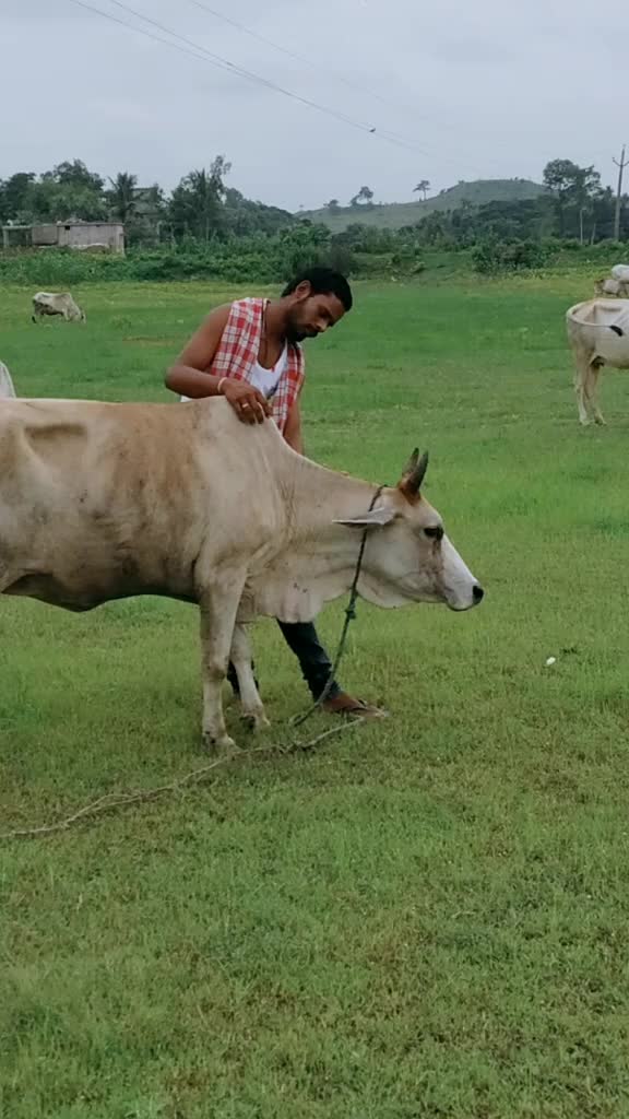 @Arjun Ghatuary Baena