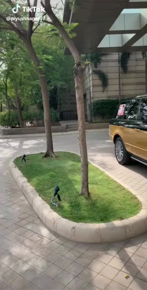 @sahil dahayat