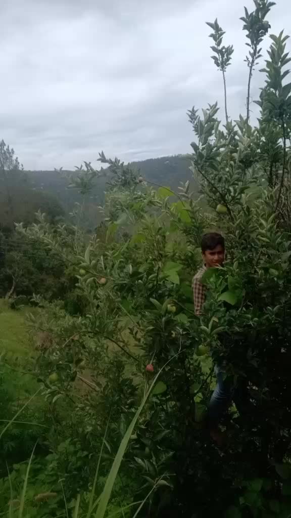 @user9105542090986