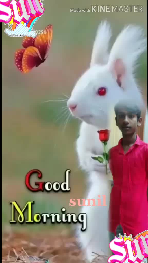 @M Kranthi