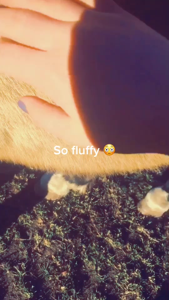 @ImReallyANobody
