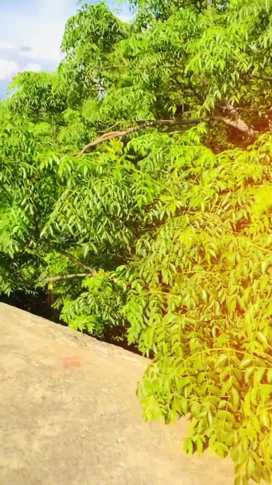 @Banjara-Bhai🇮🇳