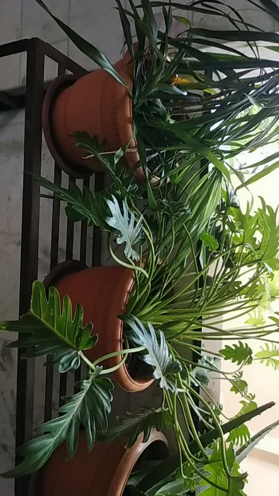 @Ajit Kumar b