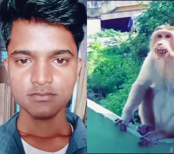 @Dharmveer rao