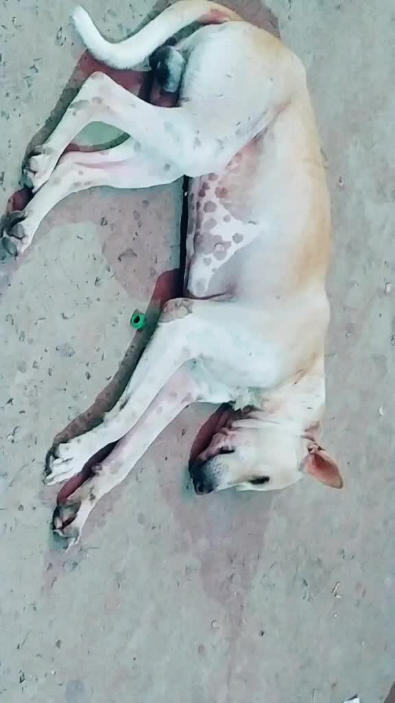 @Rahul chandrawansi