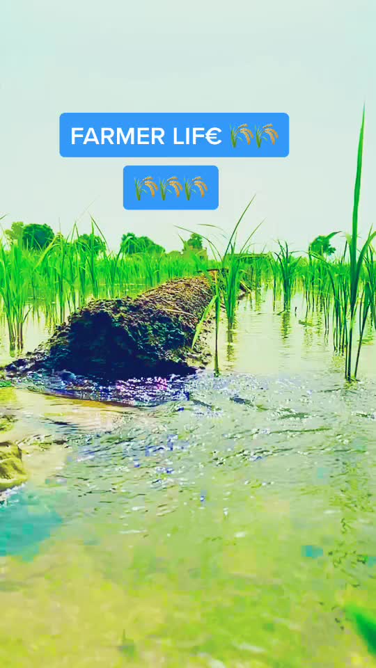 @🇮🇳JAAT 🇦🇺