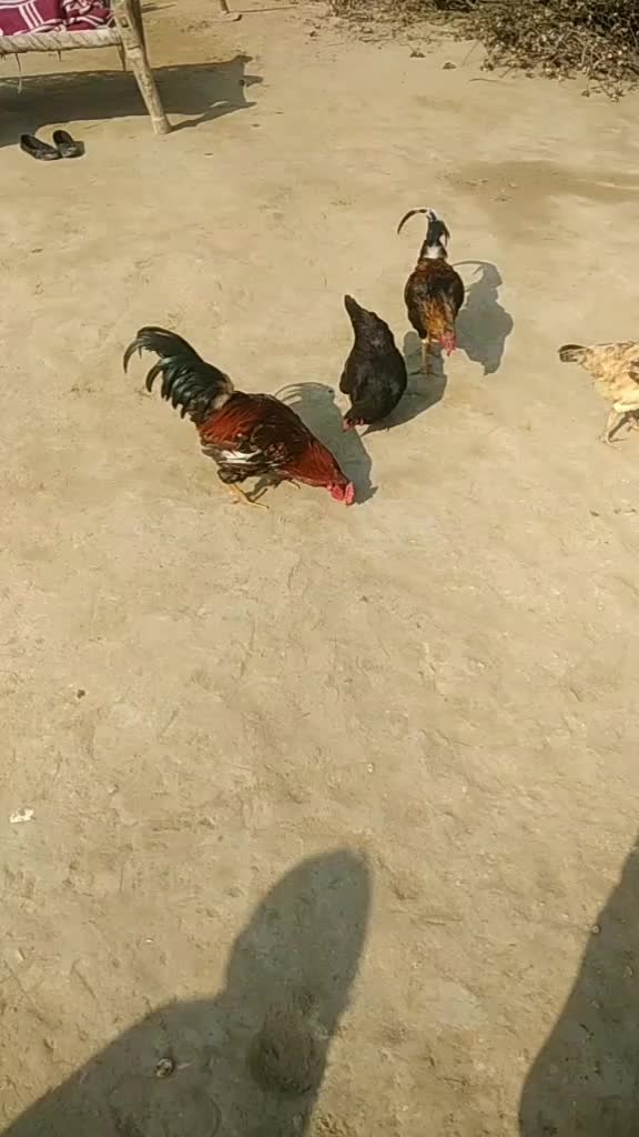 @user656883