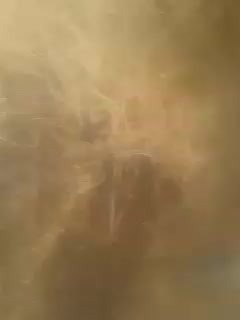 @AFROZ QURESHI