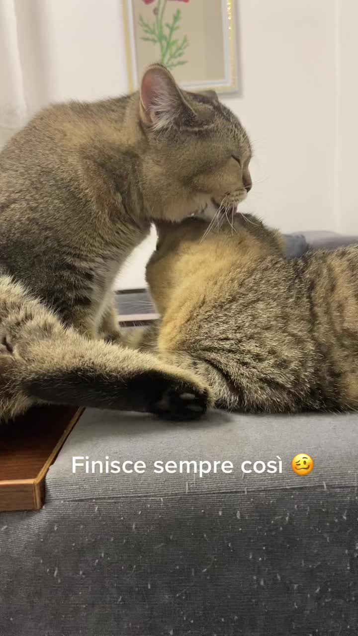 @Sofficeimpronta