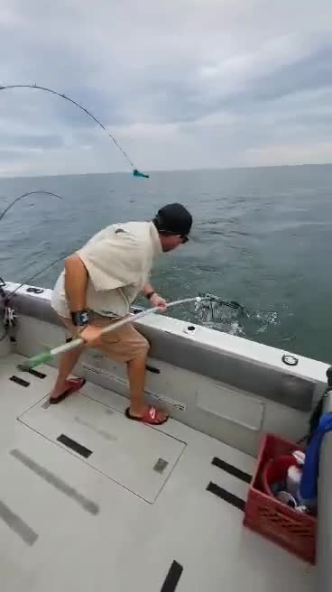 @sportytoofishingcharters