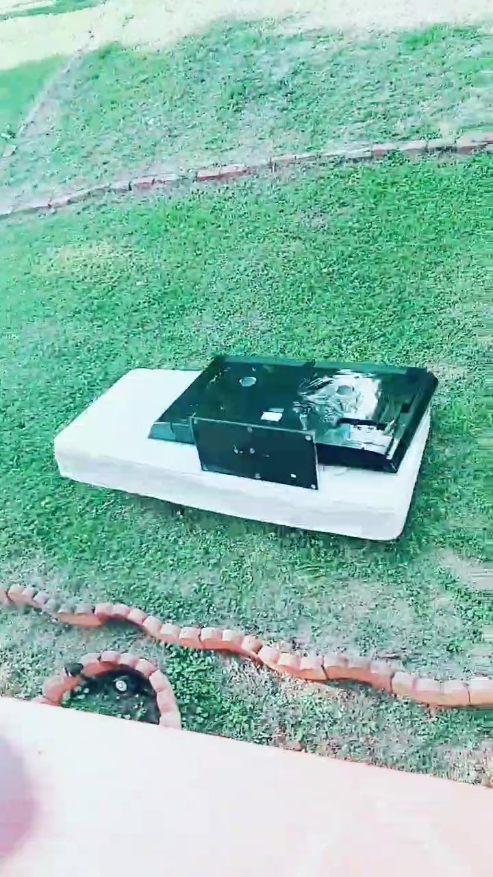 @🥀⚘️🌹