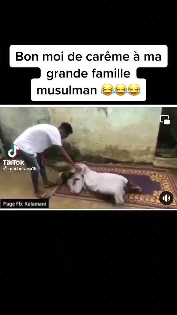 @Bacongo soum