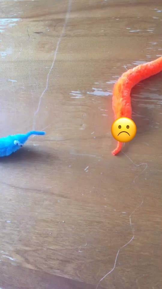 @worms4life