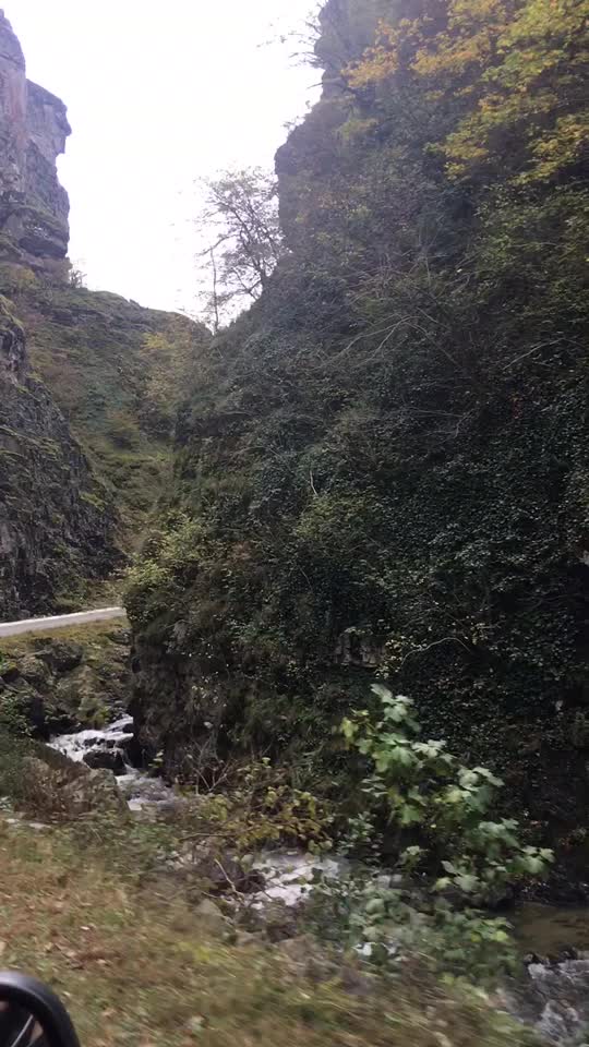 @&Ouml;zg&uuml;l Dilek Deniz