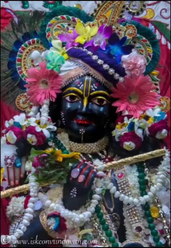 @Divya gehlot